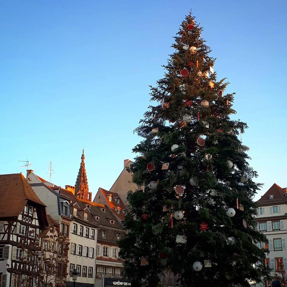 Premiere Classe Strasbourg Sud - Illkirch Exterior foto